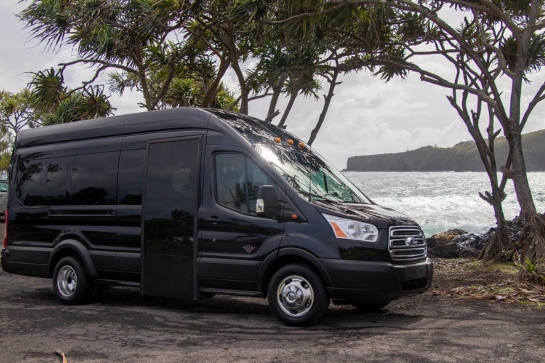 Hawaiian Style Platinum Mini Bus Keanae Close