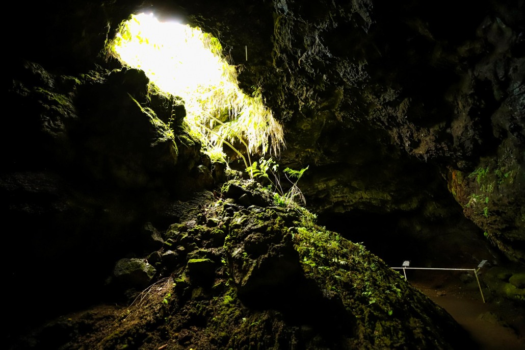 see the beauty of hana underground road to hana maui