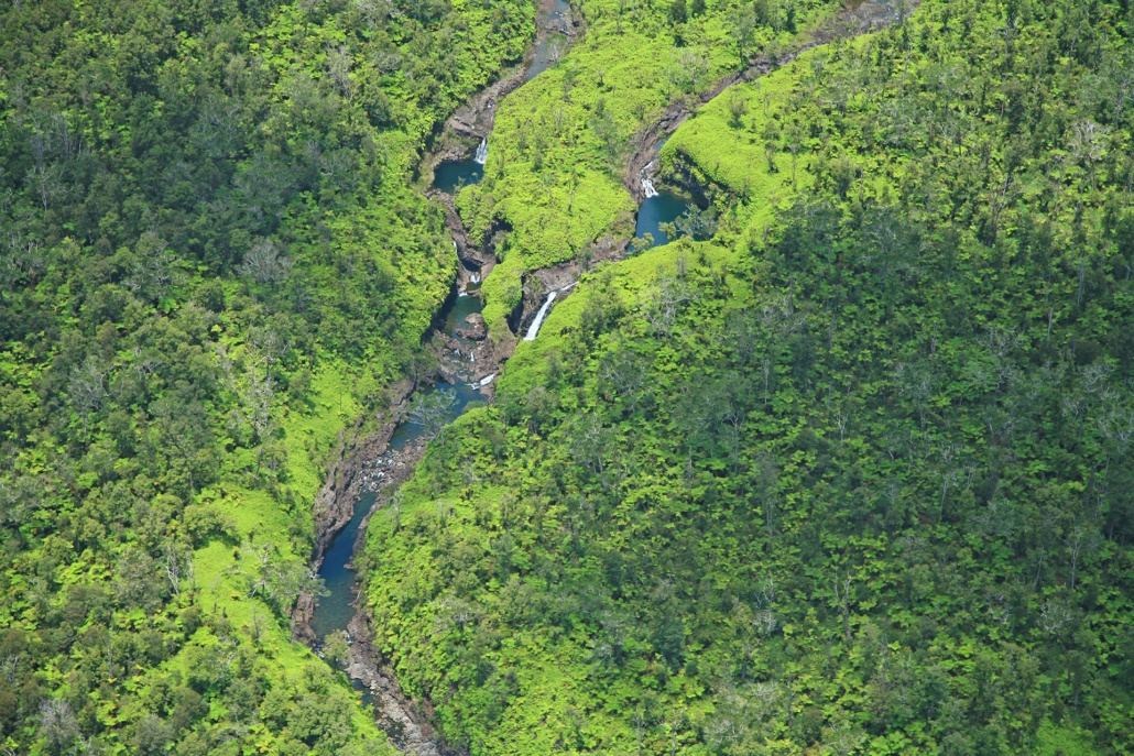 Aerial View of Hilo Rainforest