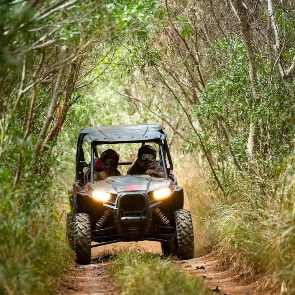 Mauioffroadadventures Lahaina Atv Adventure Riding Through Forest