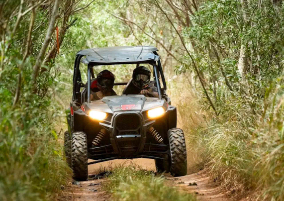 Mauioffroadadventures Lahaina Atv Adventure Riding Through Forest Slider