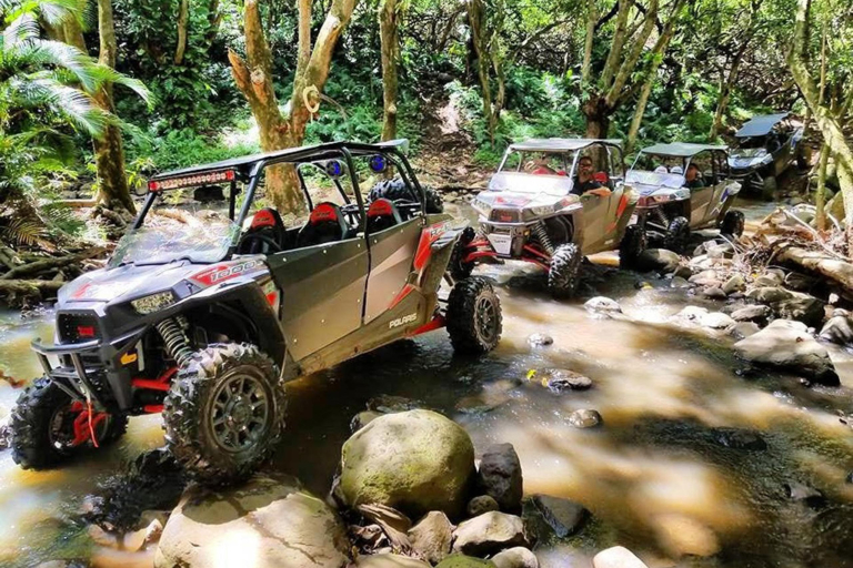 Person Atv Maui Festure