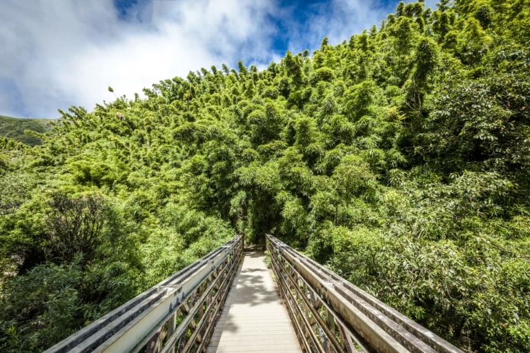 Private Road To Hana Adventure