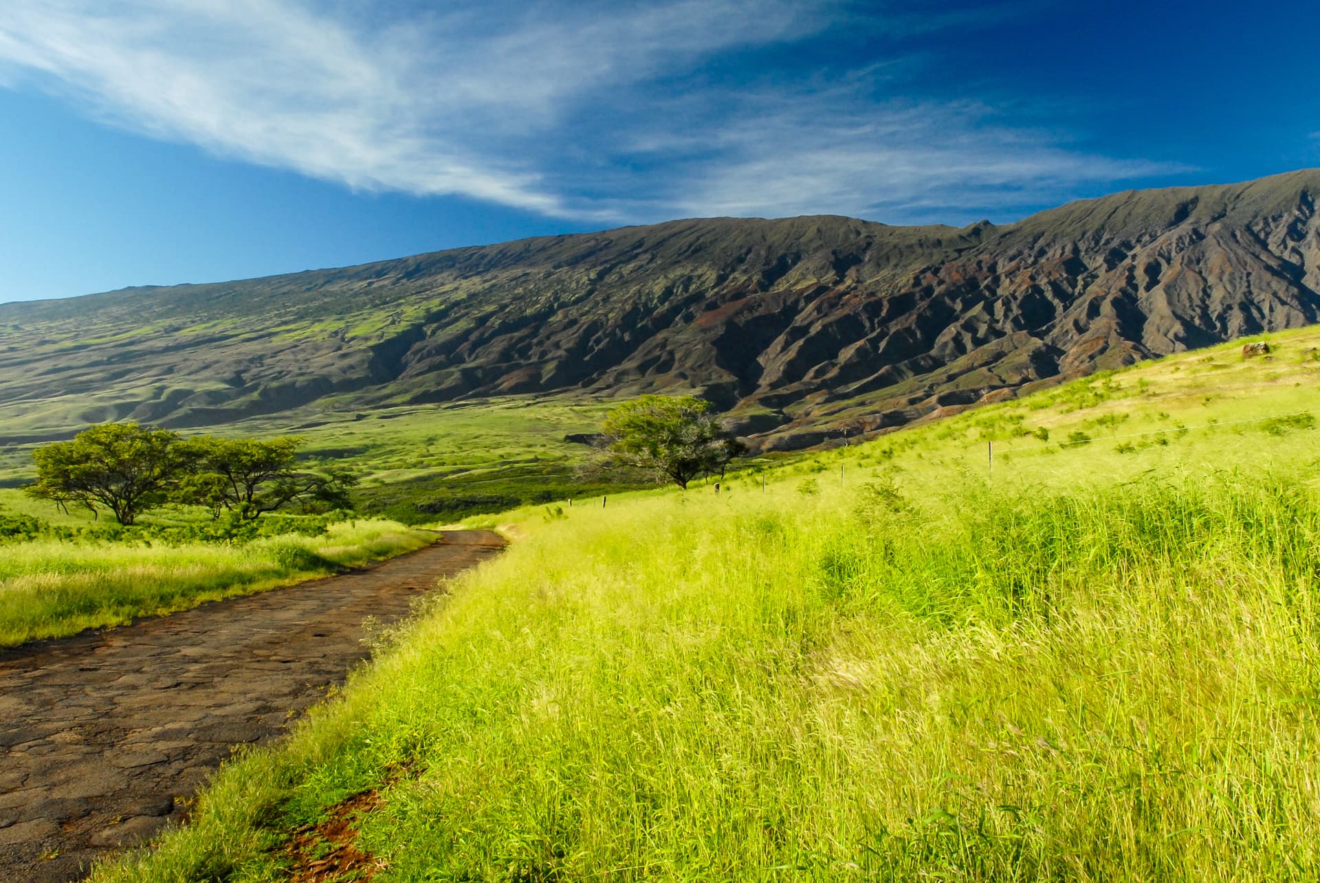 Grass Field and Mountain Views