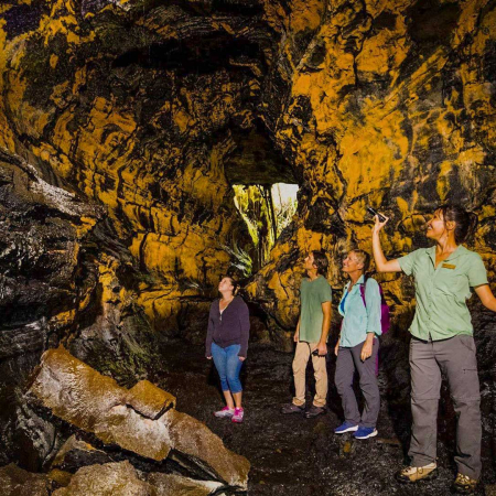 A Once In A Lifetime Adventure With A Certified Guide Big Island Hawaii Forest
