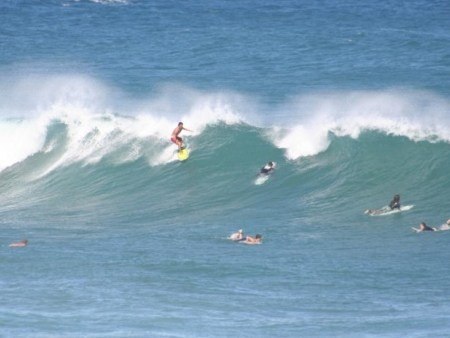 action sports mauimulti day surfing lesson