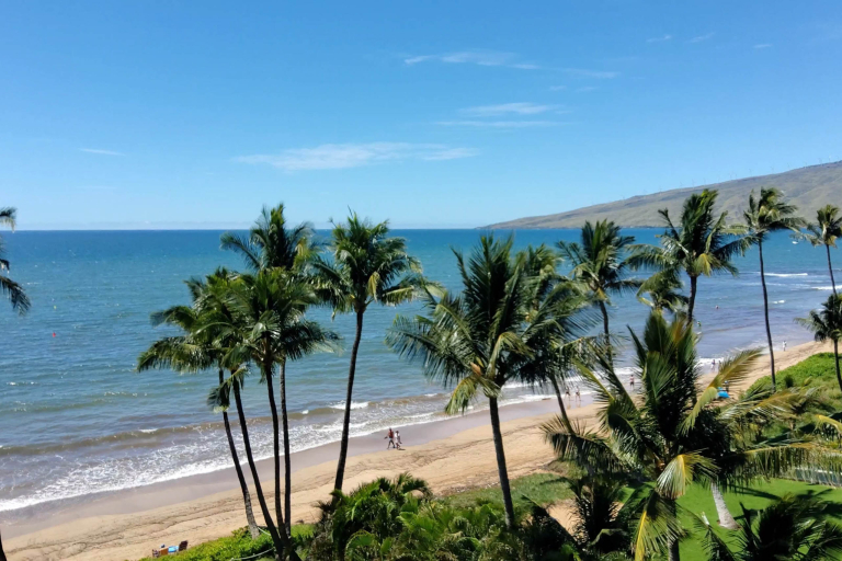 Actionsportsmaui Maui Surfing Safari Best Locations