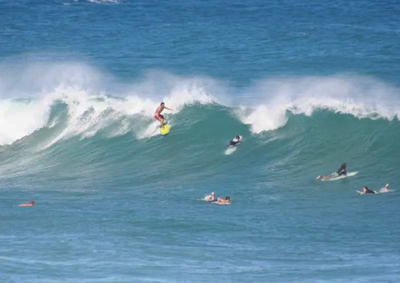 Actionsportsmaui Maui Surfing Safari Slide