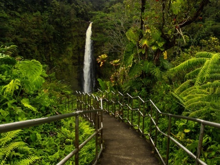 akaka falls state park big island hawaii