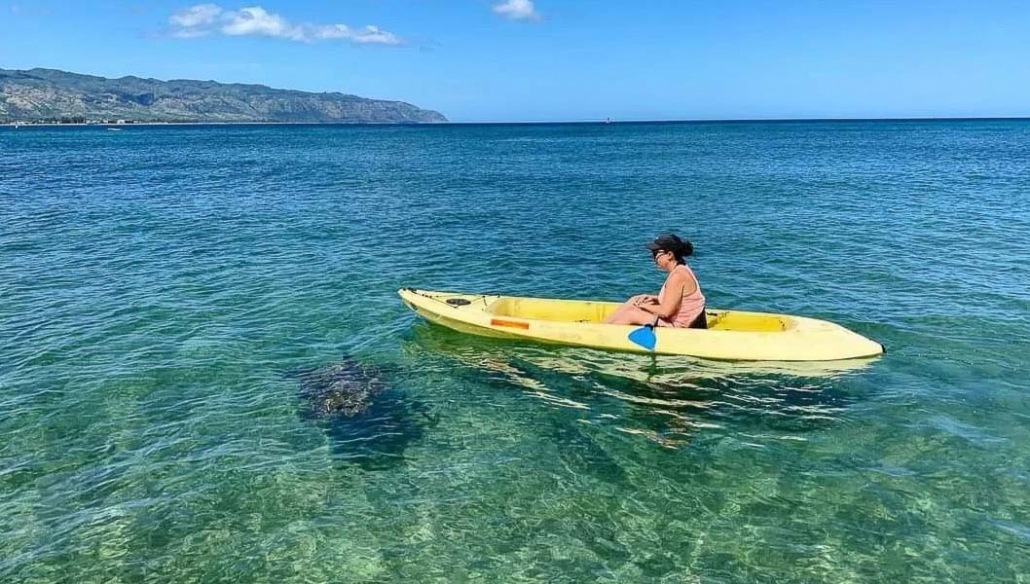 alohahawaiitours oahu turtle kayak