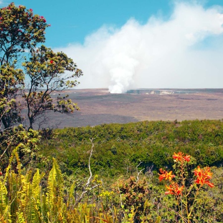 Bigisland Deluxe Volcano Experience Tour Feature Product Images
