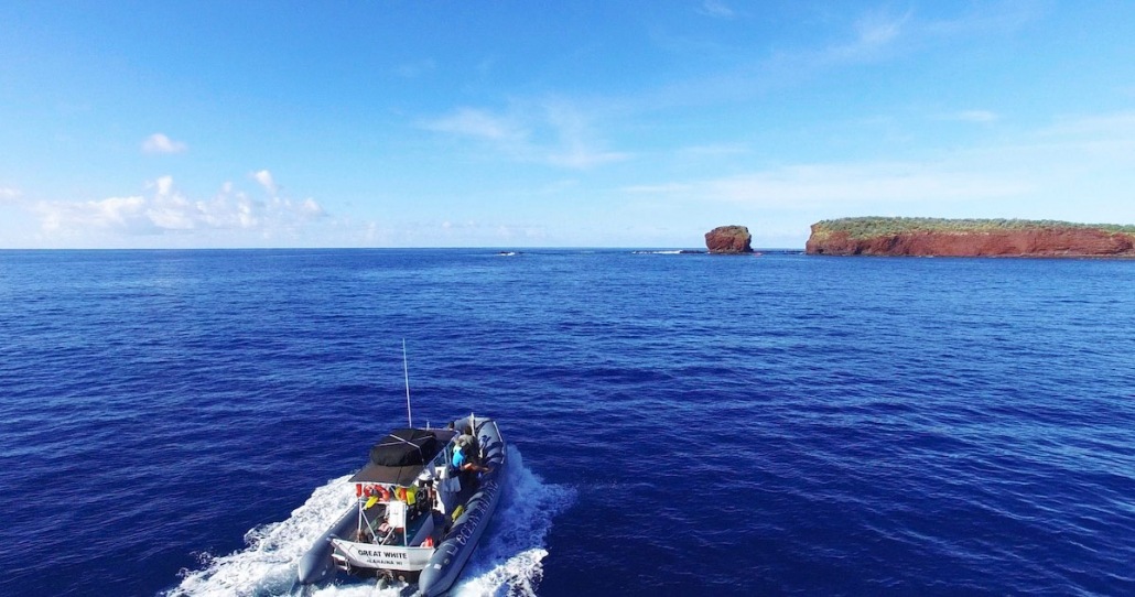 experience the islands sea cliffs remote snorkel spots and dolphin watching lanai maui hawaii ocean rafting