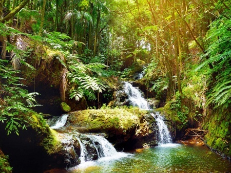 fabulous onomea falls in hawaii tropical botanical garden big island kailani tours hawaii