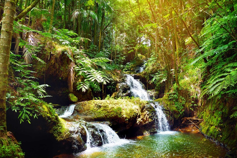 fabulous onomea falls in hawaii tropical botanical garden big island kailani tours hawaii