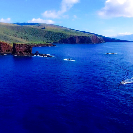 Full Day Lanai Snorkel Raft Tour