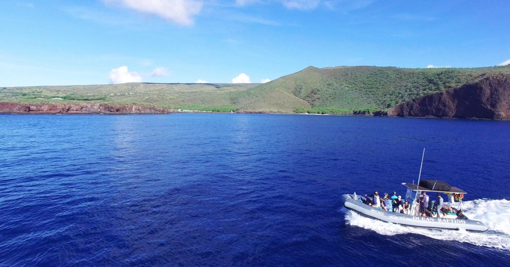 half day lanai snorkel tour and dolphin watch maui hawaii ocean rafting