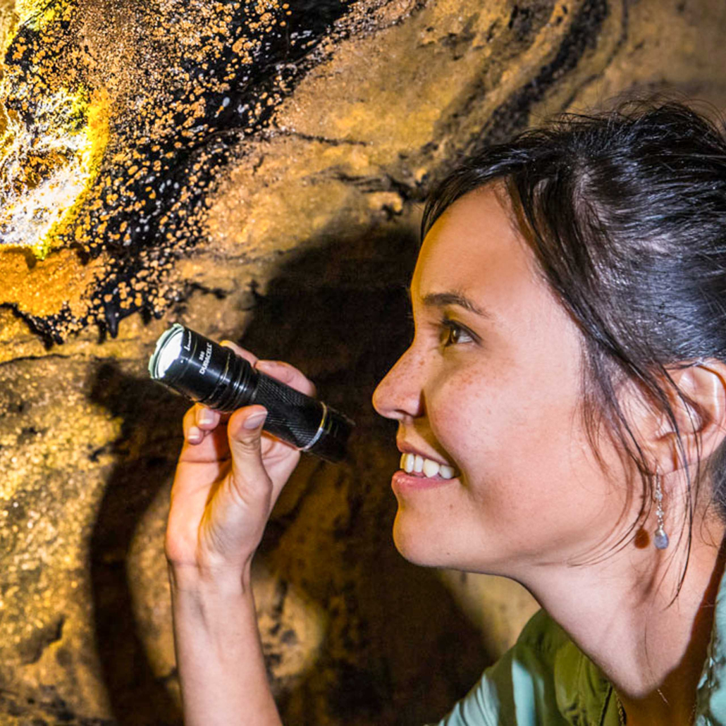 Hawaii Forest Hawaii Volcano Unveiled Discover