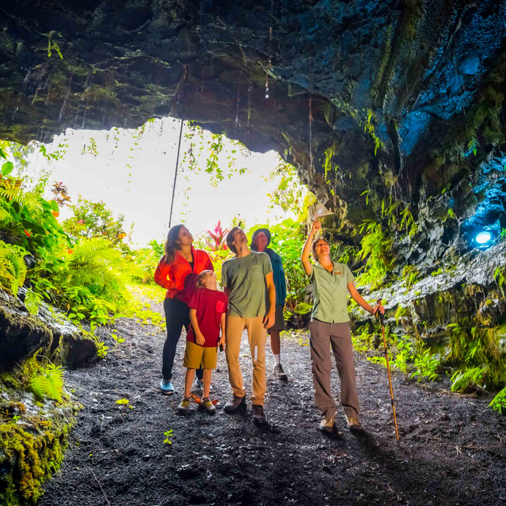 Hawaii Forest Hawaii Volcano Unveiled In A Cave