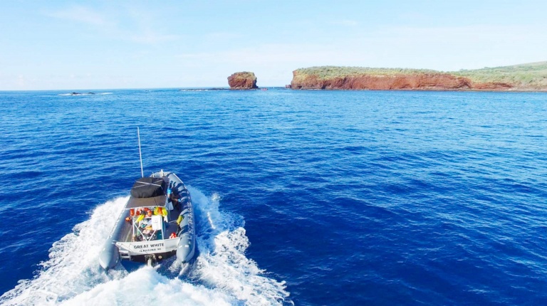 hawaii ocean rafting full day lanai snorkel raft tour