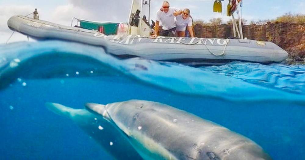 hawaii ocean rafting hawaiian spinner dolphins