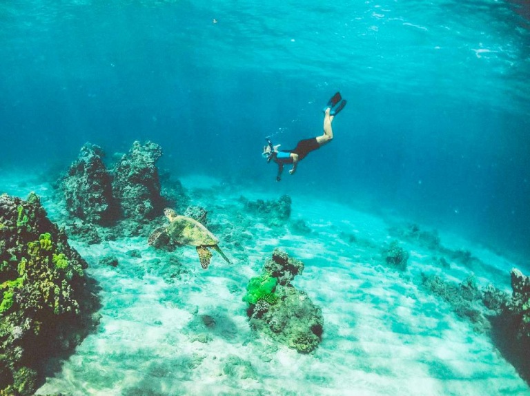 hawaii ocean rafting see seaturtle when snorkeling