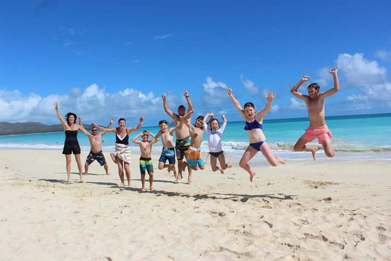 Hawaiiturtletours Circle Island Turtle Snorkel Get Away Guests