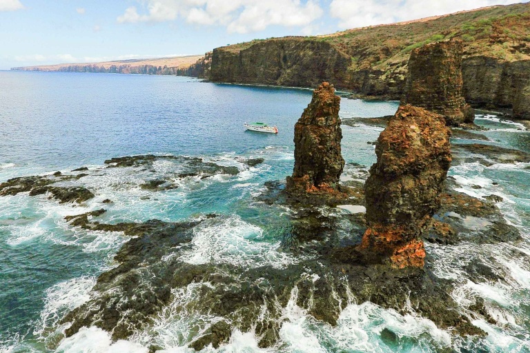 Kaanapaliocenaadventures Half Day Lanai Snorkeling Tours Feature Beauty Surrounds Lanai Rocks