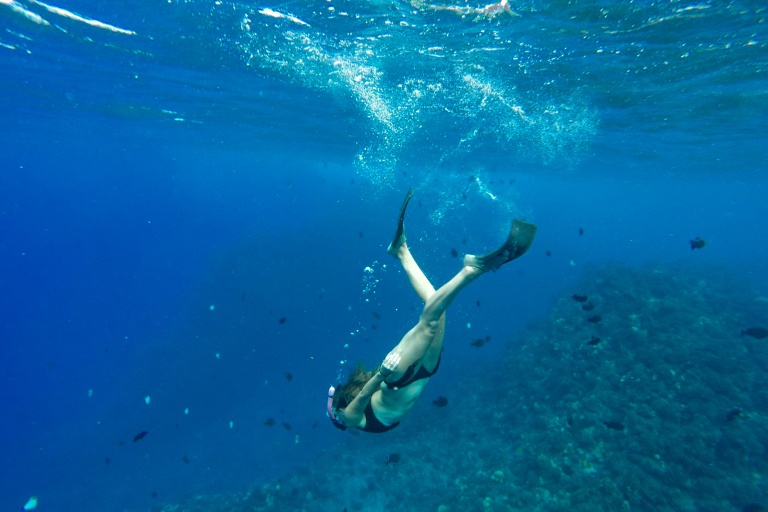 Kaanapaliocenaadventures Half Day Lanai Snorkeling Tours Feature Sea Life Girl