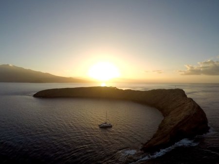 kaikanani morning snorkel