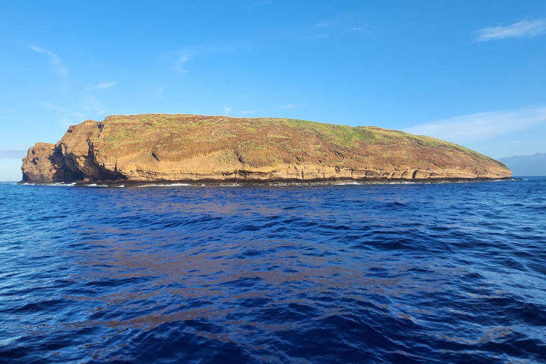 Kaikanani Signature Deluxe Snorkel Location View