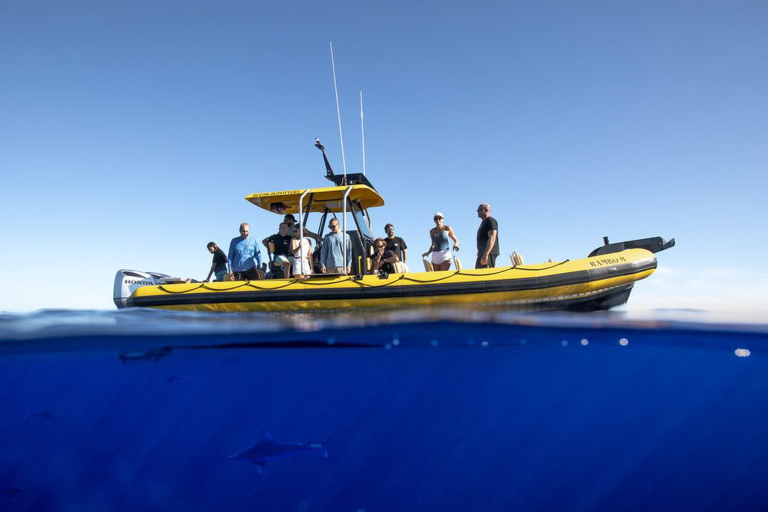 Oceanoutfittershawaii North Shore Summer Snorkel Raft Tour Training Staff