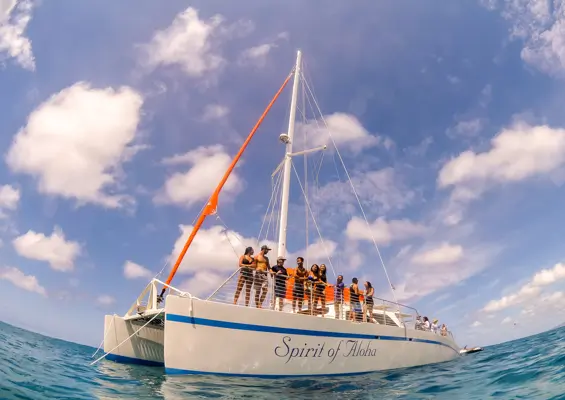 Portwaikikicruises Turtle Snorkel Sail With Lunch Guests Slide