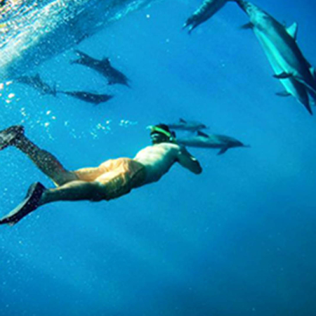 Sailmaui Lanai Coas Snorkel Product  Snorkel Product