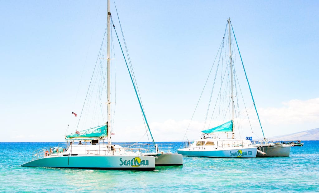 Express Snorkel Cruise Snorkel With Green Sea Turtles and More!