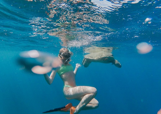 Seamaui Express Snorkel Cruise Slider Turtle And Girl