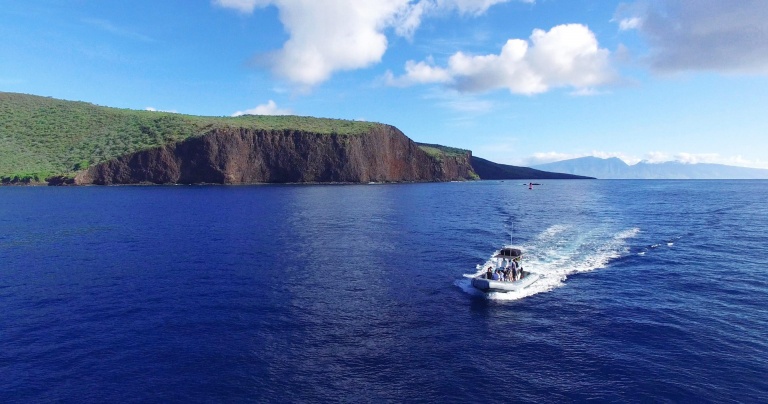 see dolphin in their natural habitat in a small raft adventure maui hawaii ocean rafting