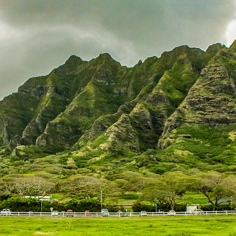 Sight And Bite Koolau Mountains Slider