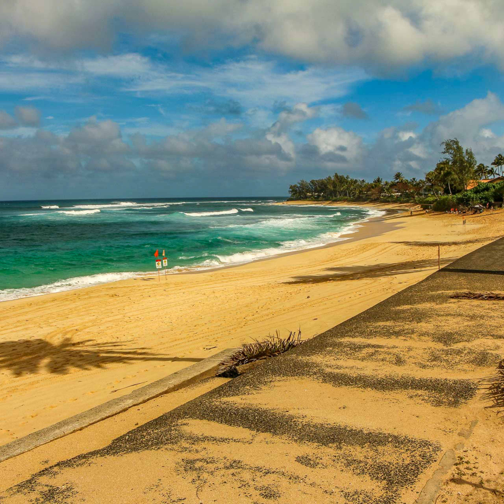 Sightseeing Snorkeling Tour North Shore Oahu Beach  