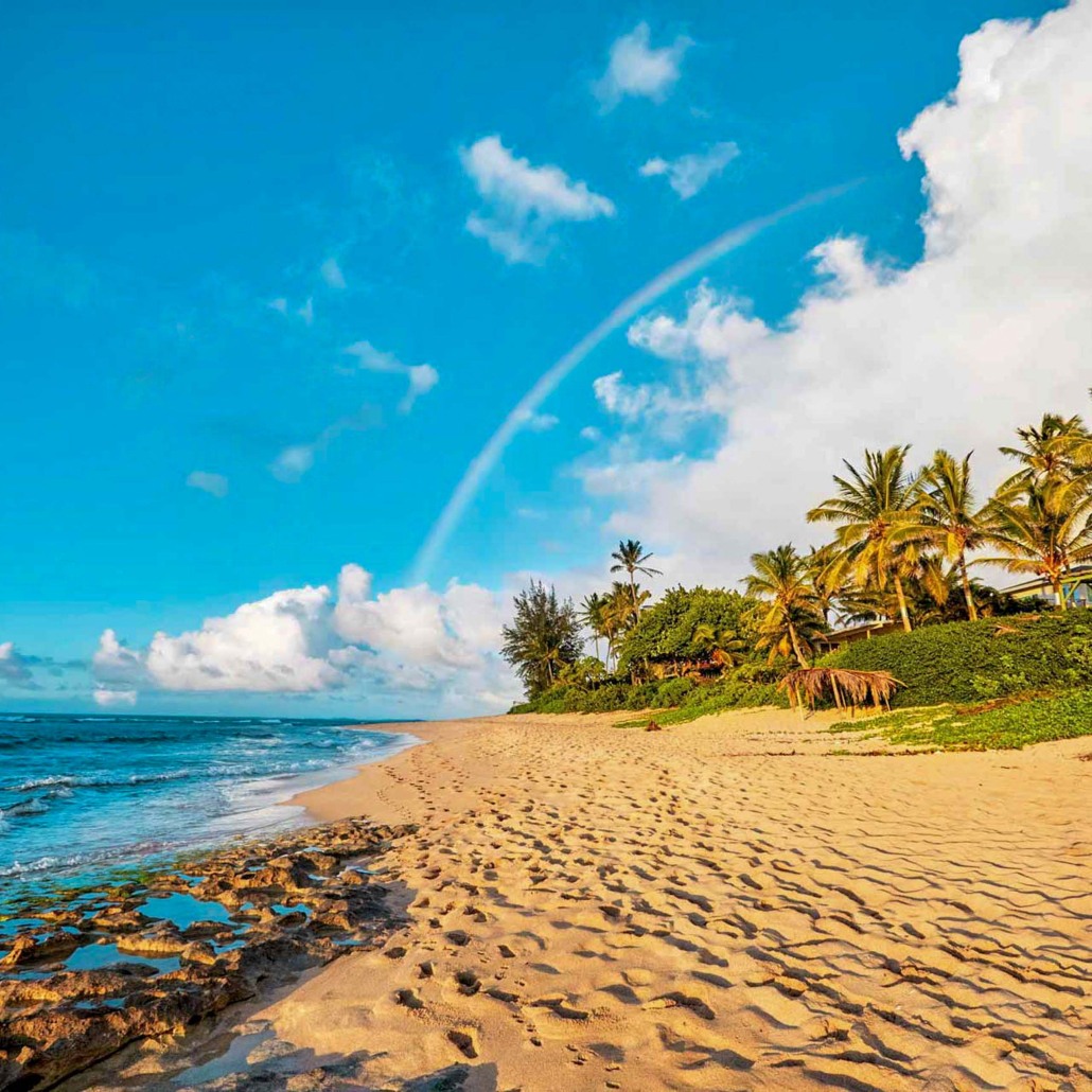 Sightseeing Snorkeling Tour North Shore Oahu Beach Rainbow Scenic View 