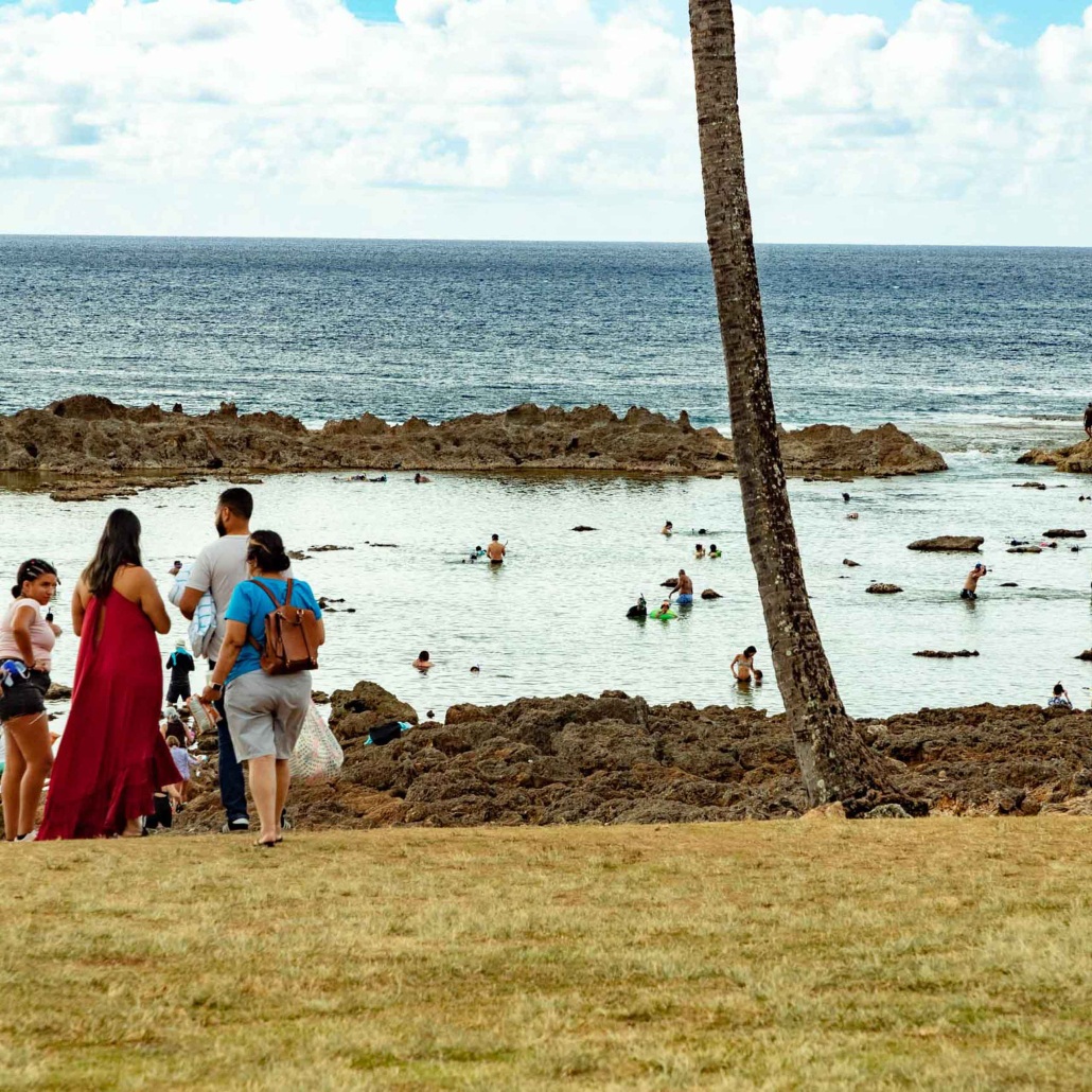 Sightseeing Snorkeling Tour North Shore Oahu Beach Snorkeling Tide Pool 