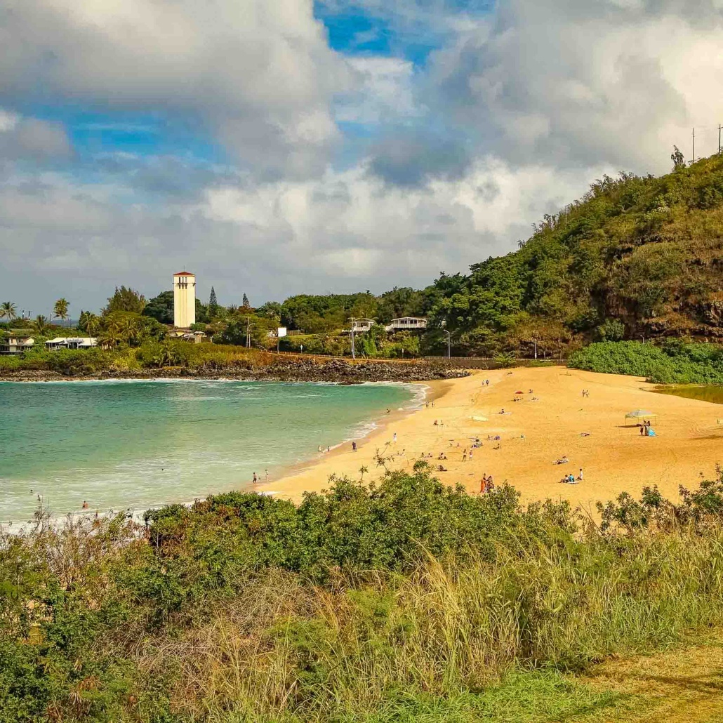 Sightseeing Snorkeling Tour North Shore Oahu Beach Waimea Beach And Town 