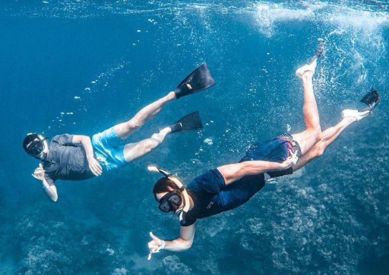 Sseamaui West Maui Half Day Adventure Slider Beach Snorkel