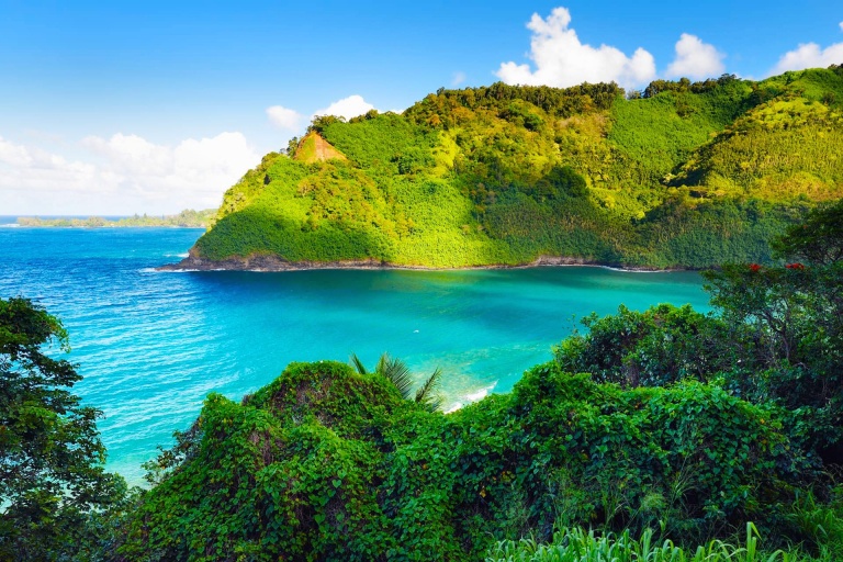 taste of hana holo holo maui tours through rainforests