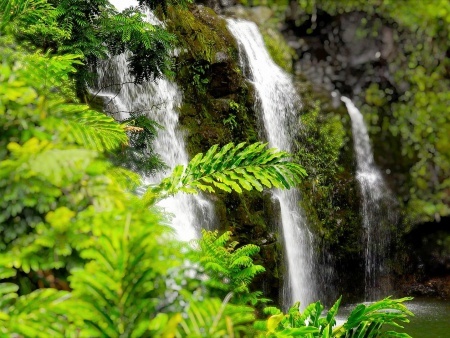 taste of hana stop at a waterfall in puaʻa kaʻa state park