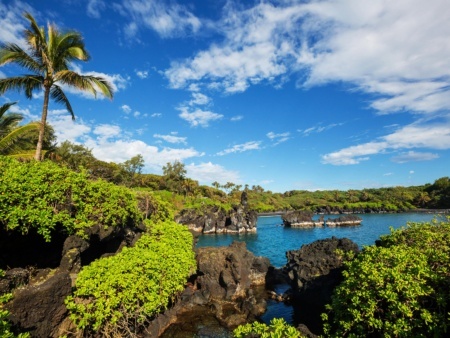 Wainapanapa Hana Bound Tour