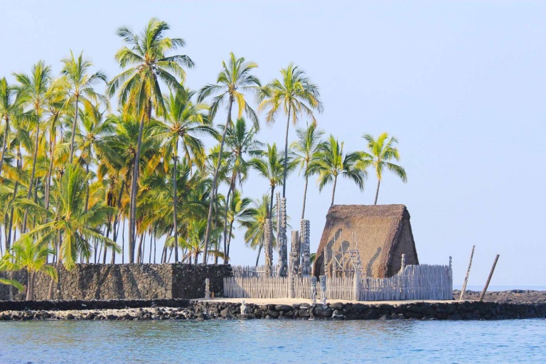 wasabi tours hawaii historic kona and farm tour