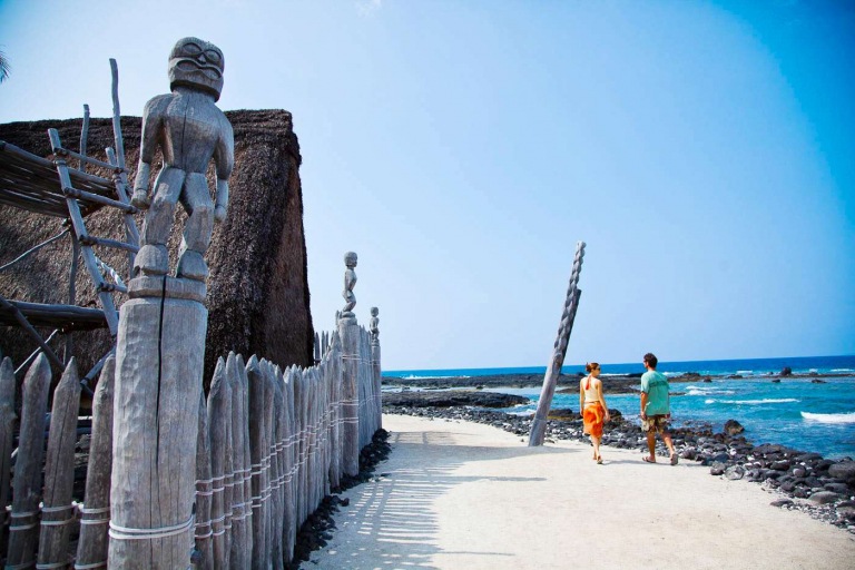 wasabi tours hawaii historic kona and farm tour stunning beach