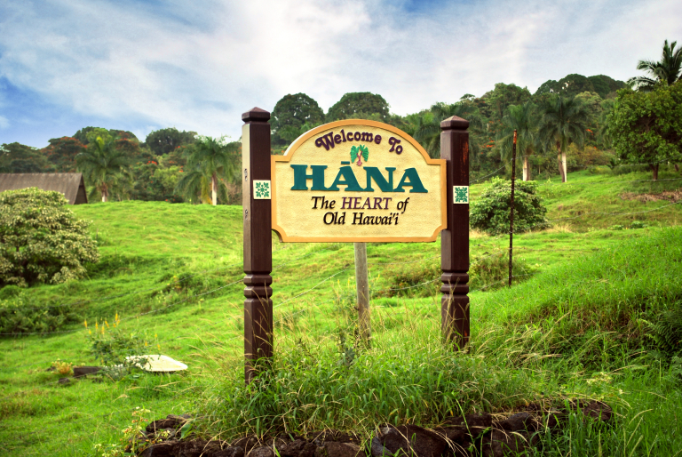 Welcometohanasign