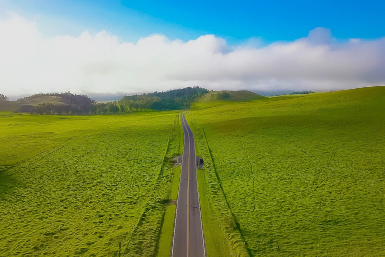 With Its Lush Green Landscapes And Stunning Ocean Views The Big Island Of Hawaii Is The Perfect Place To Explore On A Fun Filled Holiday Wasabi Tours Hawaii Feature
