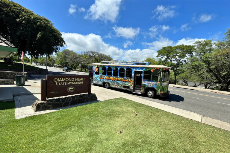 7 Shuttle Service